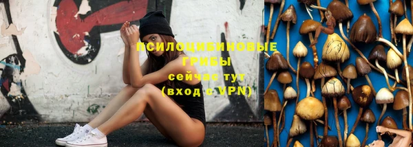 марки lsd Вяземский