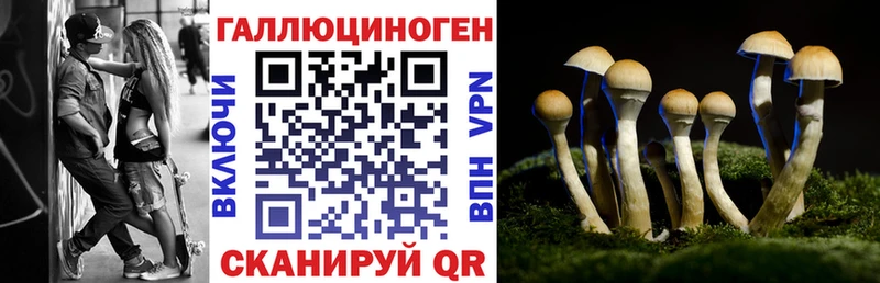 Галлюциногенные грибы Psilocybe  Купить  Истра 